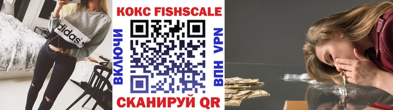 Купить закладки  Темников  Cocaine Fish Scale 