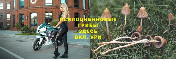 MDMA Premium VHQ Иннополис