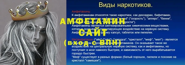 прущие грибы Каменногорск