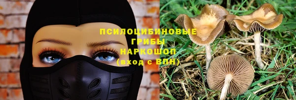 гашик Инсар