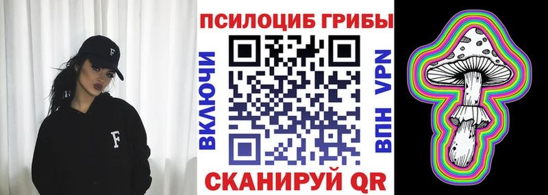 Купить где  Темников  Псилоцибиновые грибы Cubensis 